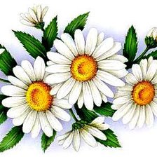 Схема вышивки «Красивые ромашки»