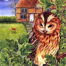 Схема вышивки «Сова»