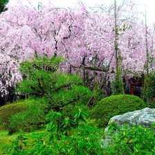 Схема вышивки «японский сад»