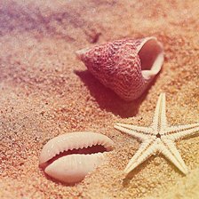 Схема вышивки «Ракушки»