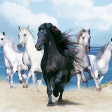 Схема вышивки «кони»