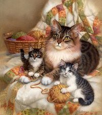 джуди гибсон 41 котики