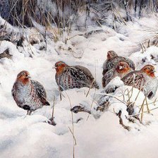 Схема вышивки «куропатки»