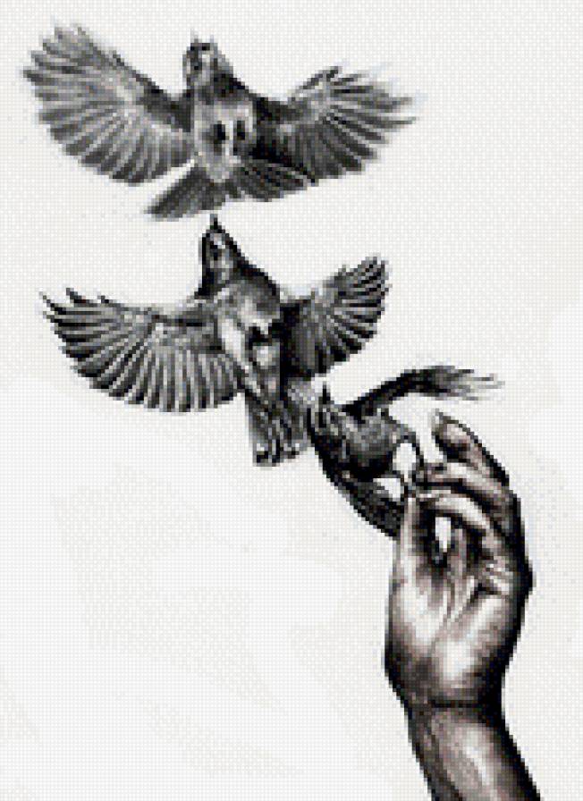 №540934 - предпросмотр