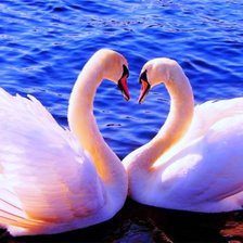 Схема вышивки «лебеди»