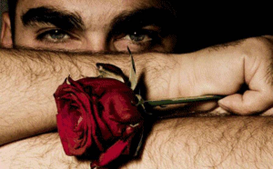 Мужчина с розой - предпросмотр