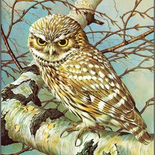 Схема вышивки «Сова»