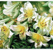 Схема вышивки «Лилии»