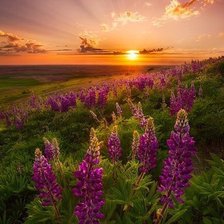 Схема вышивки «Закат»