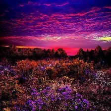 Схема вышивки «На закате»