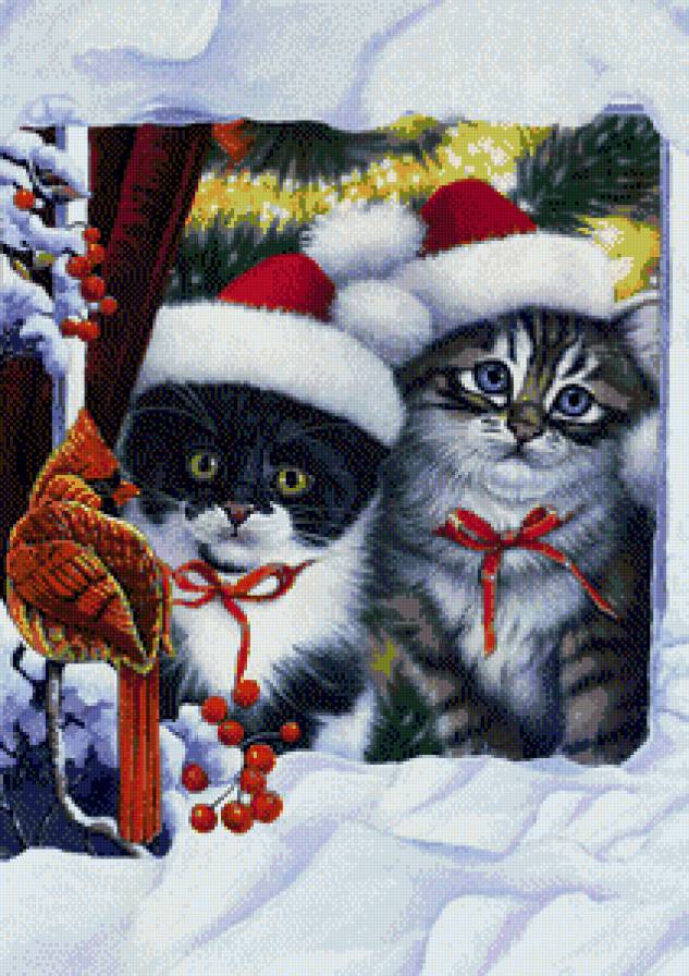 Новогодние котики - кошки, новый год, окно, кардинал, птица, котята, коты - предпросмотр