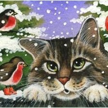 домашние любимцы