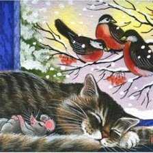 домашние любимцы