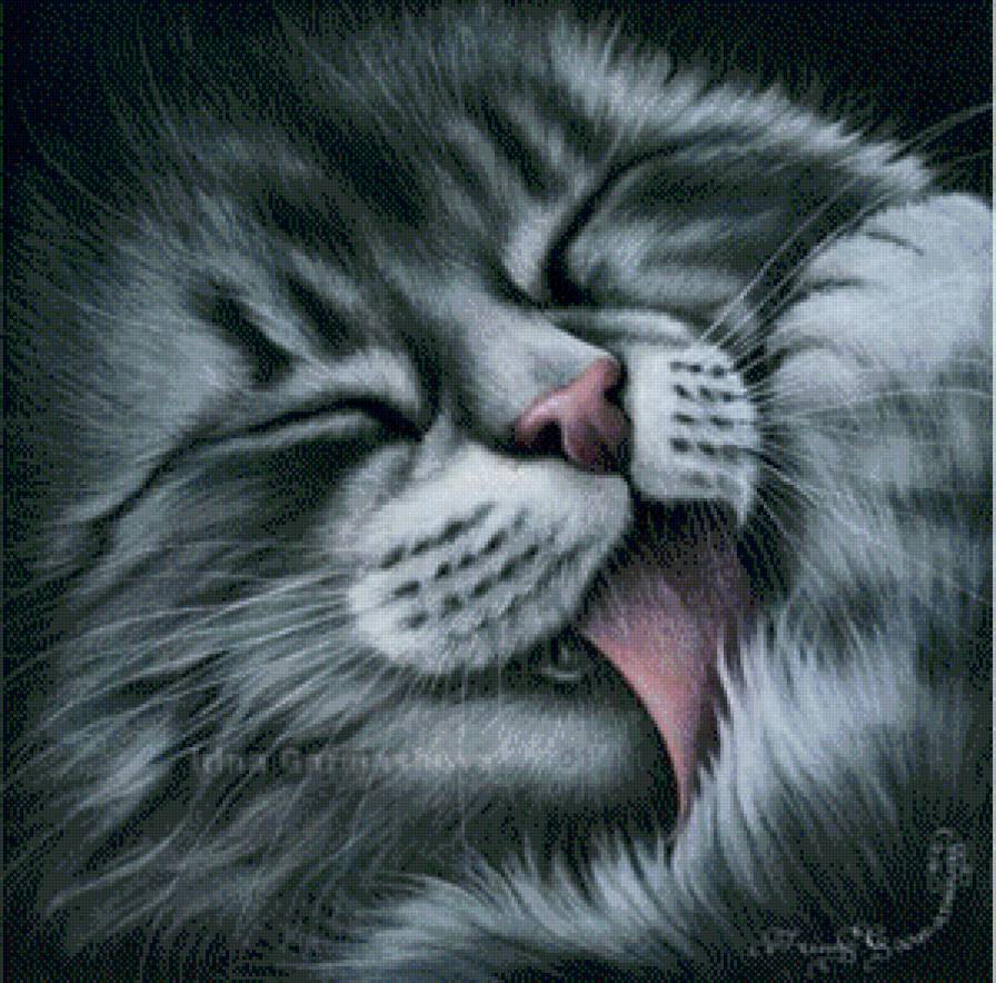 домашние любимцы - предпросмотр