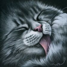 Схема вышивки «домашние любимцы»