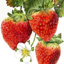 Схема вышивки «клубничка»