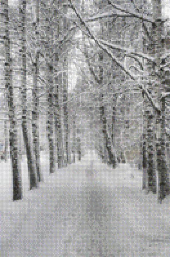 зимняя аллея - предпросмотр