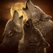 Схема вышивки «№541413»