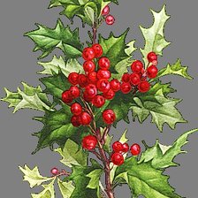 Схема вышивки «Листики и ягодки»