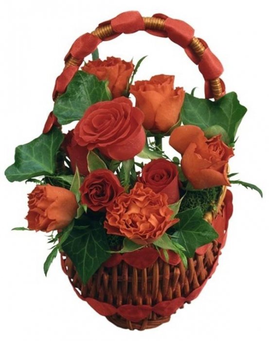 №541840 - оригинал