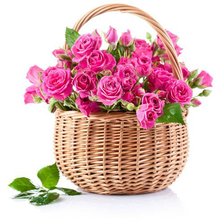 Схема вышивки «розы»