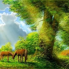 Схема вышивки «серия "природа"»