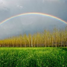 Схема вышивки «серия "природа"»