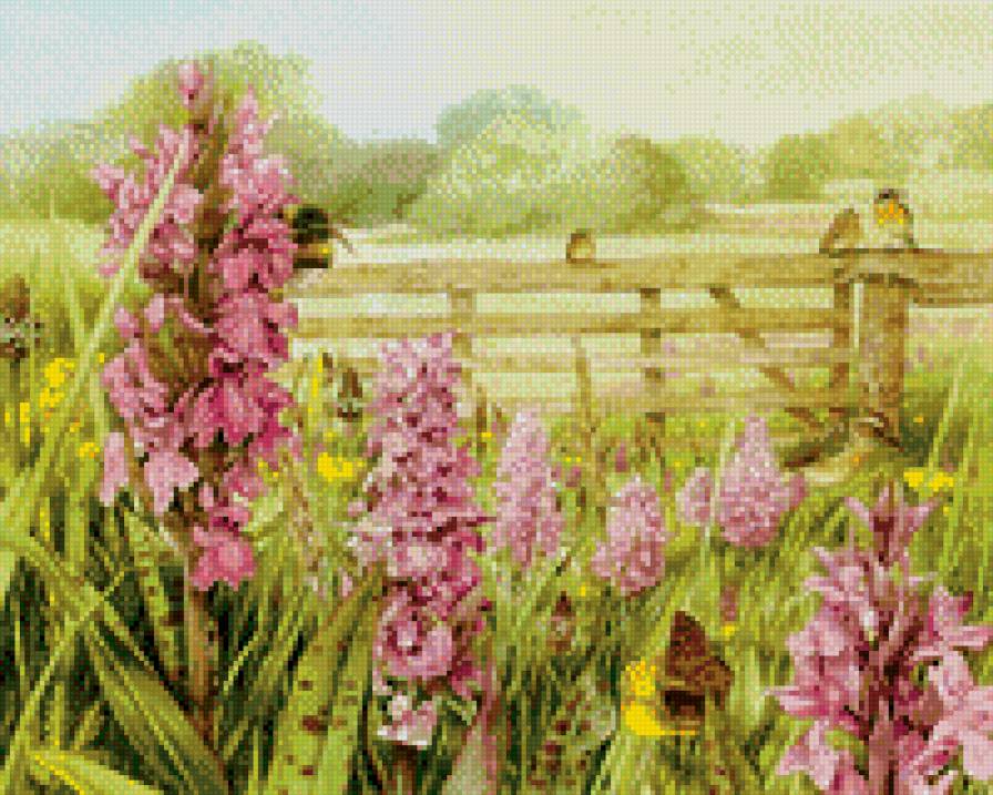 cvety - cvety - предпросмотр