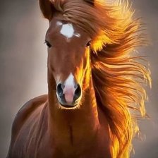 Схема вышивки «№541922»