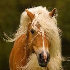 Схема вышивки «№541924»