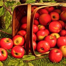 Схема вышивки «Яблоки»