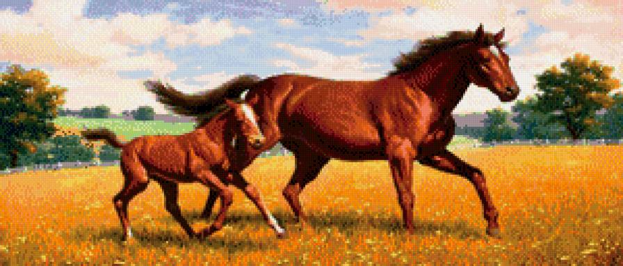 лошади - природа, животные, лошади - предпросмотр