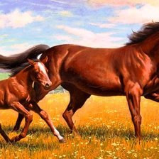 Схема вышивки «лошади»