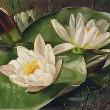Схема вышивки «Water Lilies»