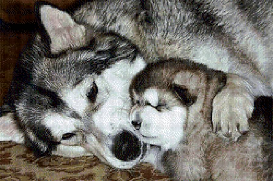 с мамой - природа, собака, щенок, животные - предпросмотр