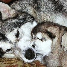 Схема вышивки «с мамой»