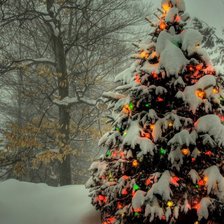 Схема вышивки «елочка»