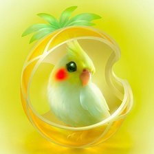 Схема вышивки «Птица»