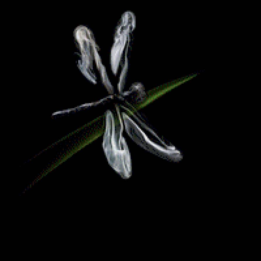 Стрекоза - предпросмотр