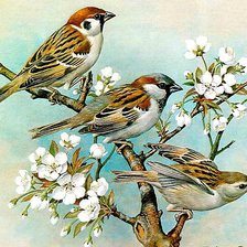 Схема вышивки «Воробьи»