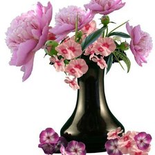 Схема вышивки «№542350»