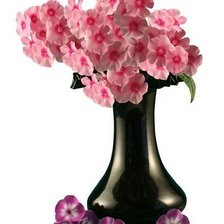 Схема вышивки «№542357»