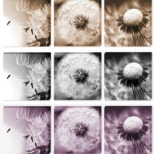 Схема вышивки «Pienes»