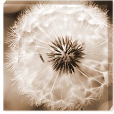 Схема вышивки «Pienes2»