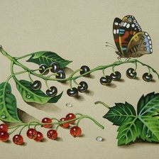 Схема вышивки «№542423»