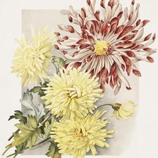 Схема вышивки «цвети»