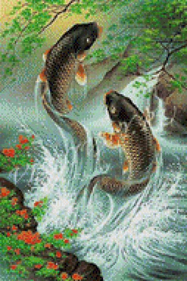 Карпы прыгуны - предпросмотр