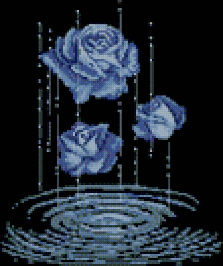 Синие розы - предпросмотр