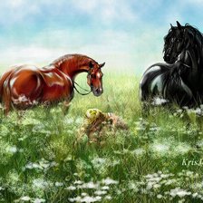 Схема вышивки «№542760»