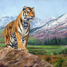 Схема вышивки «тигр»